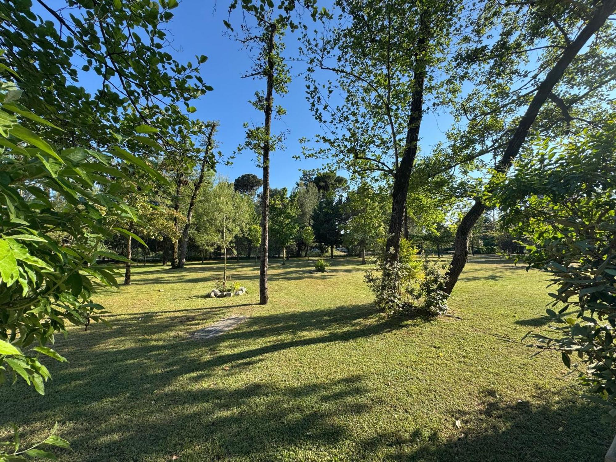 Residence Pinewood Μπιμπιόνε Εξωτερικό φωτογραφία