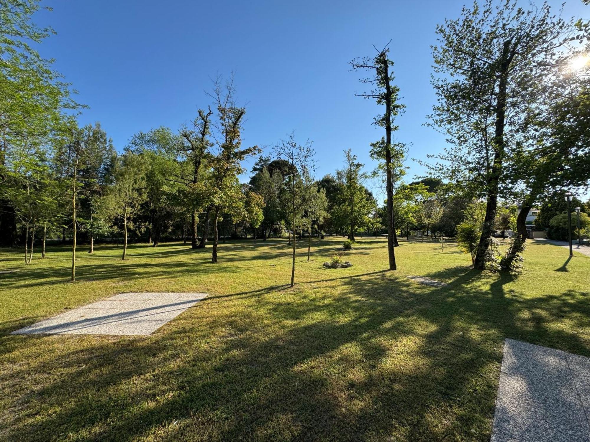 Residence Pinewood Μπιμπιόνε Εξωτερικό φωτογραφία